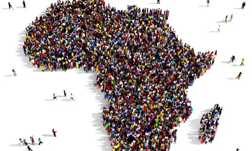 RELATIVE A LA DESTRUCTION DU DIRECTEUR REGIONAL AFRIQUE DE L’IPPF