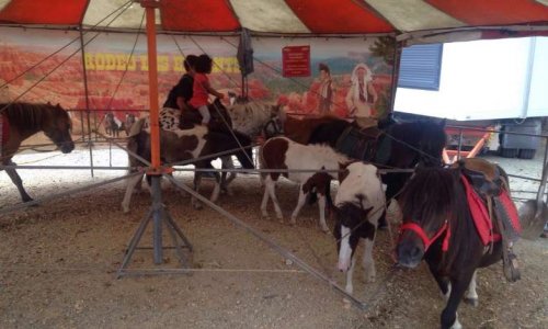 Pétition au nom de l'Association Stéphane Lamart contre le manège à poneys à Caen