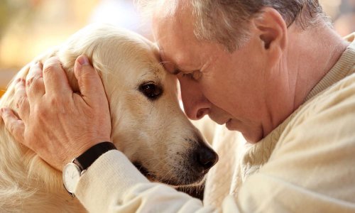 Pour que les personnes âgées puissent aussi adopter