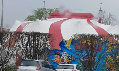 Interdiction des cirques avec animaux sur Mundolsheim