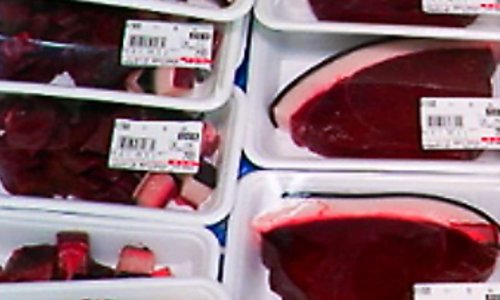 Interdire la viande de dauphin au Japon pour protéger ces êtres magnifiques