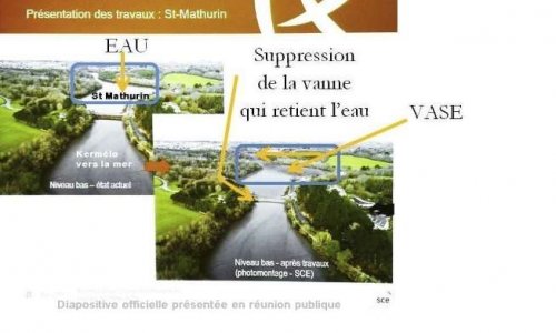 Sauver l'étang (et l'écosystème) d'eau douce du Ter