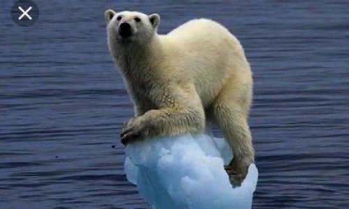 Notre belle planète...