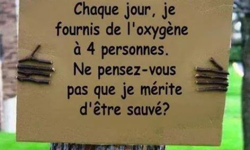 Massacre à la tronçonneuse : non à la déforestation du parc naturel régional du Pilat