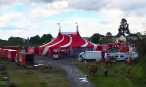 Stop aux cirques avec animaux sauvages dans la ville de Mayenne !