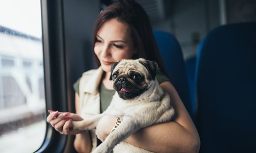 Pour que les animaux soient acceptés sur l'abonnement TGV max