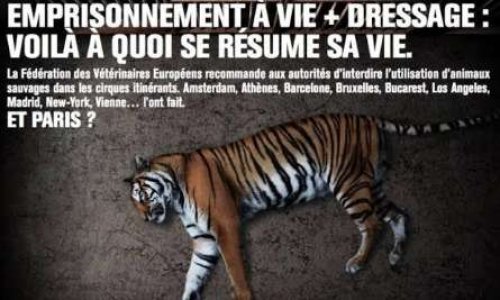 NON AUX ANIMAUX DANS LES CIRQUES DANS LA COMMUNE D'ERMONT