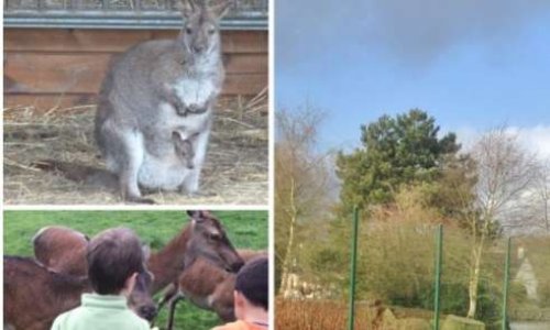 Pour la préservation du parc animalier de la Résidence Beau-Chêne