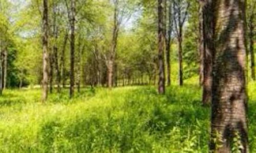 Oui au composte d'un défunt en France