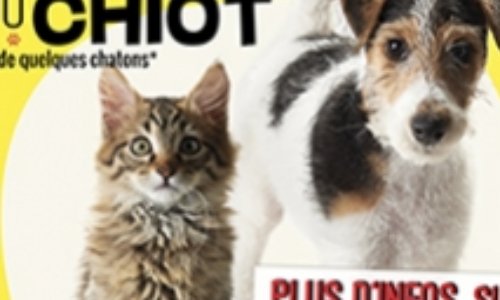 Salon du chiot et du chaton : contre l'achat 