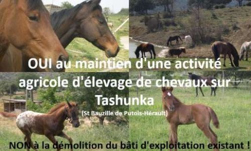 OUI au maintien d'une activité agricole d'élevage de chevaux sur Tashunka, NON à la démolition du bâti d'exploitation existant
