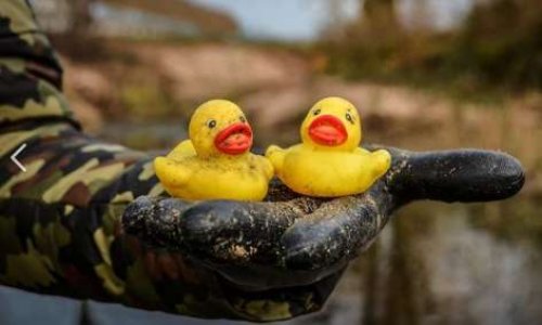 Interdire le déversement de canards en plastique dans les cours d'eau