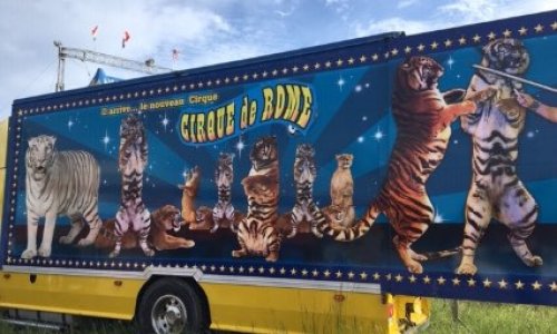 NON AUX CIRQUES AVEC ANIMAUX À AMBERIEU-EN-BUGEY