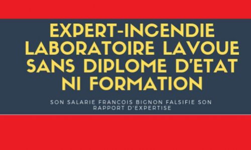 PETITIONS CONTRE LES EXPERTS JUDICIAIRES RIPOUX