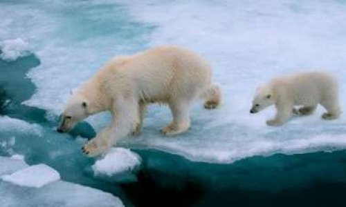 Il reste deux ans pour agir contre le changement climatique.