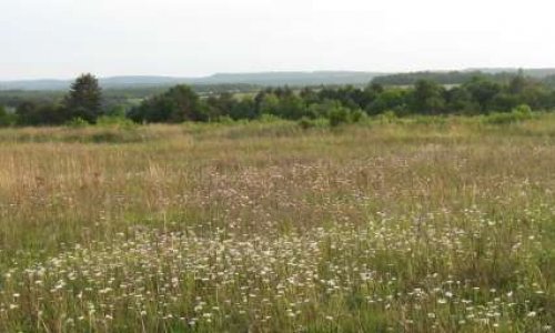 Sauvegardons à Pernand-Vergelesses (21) un site naturel Natura 2000, menacé de destruction
