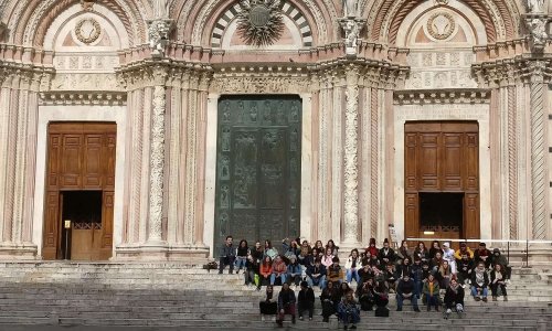 Sauvons nos options facultatives !