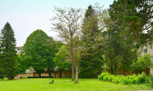 Bourg en Bresse, Site de la Madeleine : nature et patrimoine en danger !
