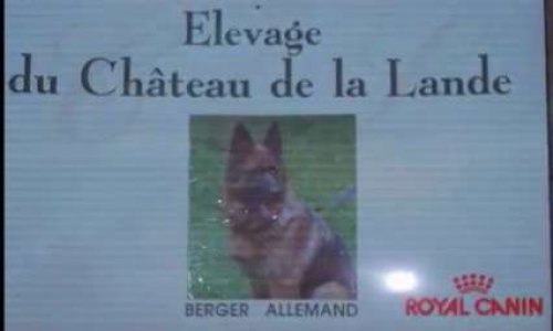 Soutien à l’éleveuse de berger allemands à Rocles 03240