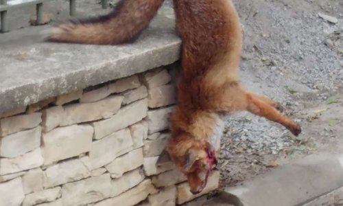 POUR ABOLIR LE CLASSEMENT 