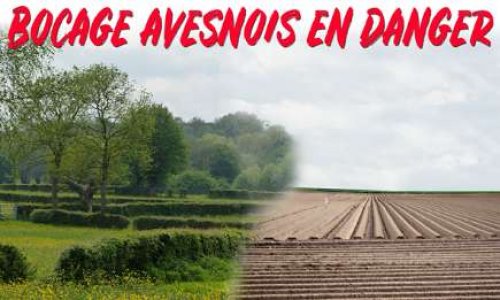 Préservons notre bocage