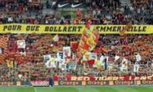 Abonnés Marek sur le carreau