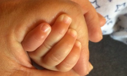 Nous voulons une gauche unie