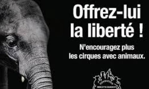 NON AUX CIRQUES AVEC ANIMAUX À COIGNIERES