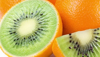 OGM : une question et une requête aux Sénateurs centristes par des adhérents du MoDem