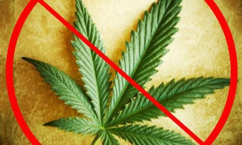 Non à la consommation du Cannabis dans les édifices résidentiels et air de jeux.