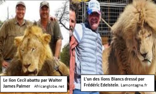 Non aux cirques avec animaux à Saint Pourçain sur Sioule