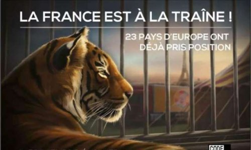 Plus de cirques avec animaux sur notre commune