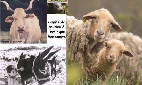 Empêchons le système de détruire cet éleveur hors norme !