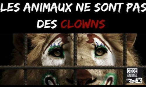 Pour interdire la souffrance animale dans notre belle ville de Chalon-sur-Saône