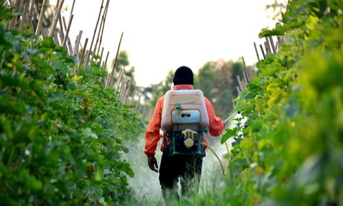 Soutien au maire de Langouët dans son combat contre les pesticides !