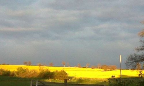 Est de Toulouse : non à l'OAP Gamasse-Rebeillou à Quint-Fonsegrives