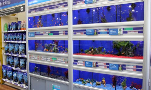 Pour l'autorisation du commerce Florennes Aquariums à la rue des Minières