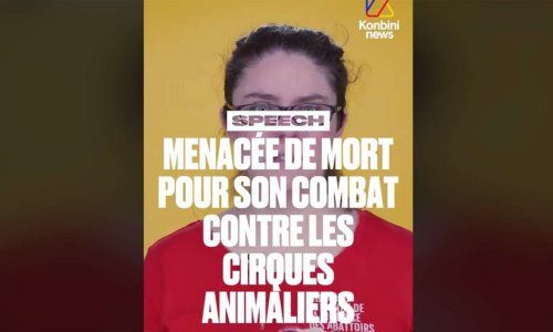 Contre l'impunité des violences de circassiens