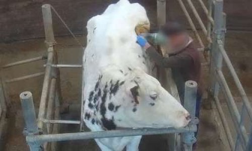 Pour le boycott du groupe Avril