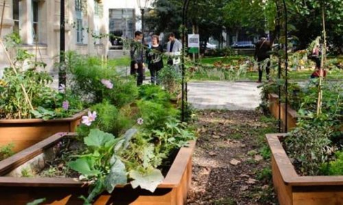 NON à l'ouverture de la circulation automobile 