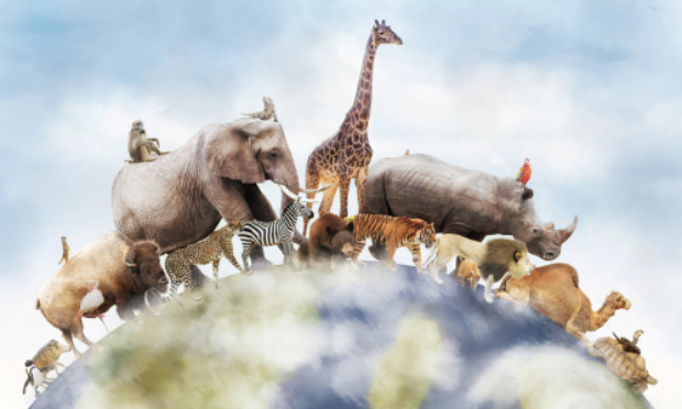 Pour une révision de la Déclaration Universelle des Droits de l'Homme en y ajoutant la protection de l'environnement et de la biodiversité