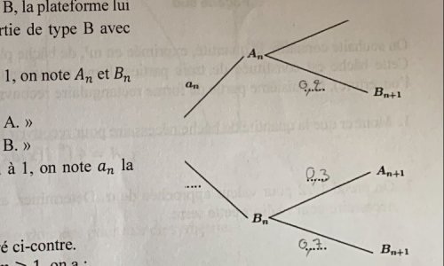 Erreur BAC S 2019  maths exercice 2