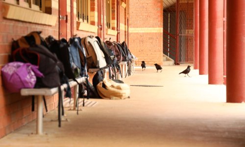 Contre le report du brevet