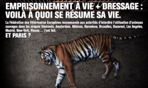 Non aux cirques avec animaux à Amiens