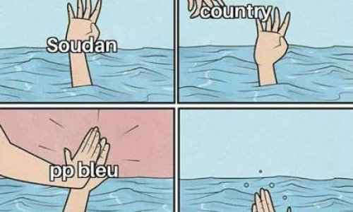 Marche pour le Soudan