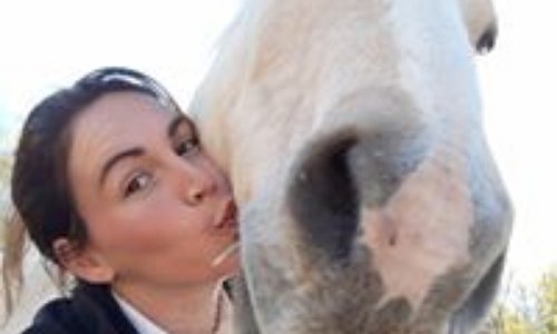 Pétition pour le maintien du refuge 