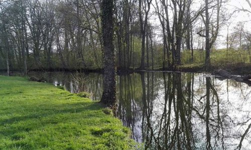 Préserver les ouvrages et plans d'eau de l'Armançon, à Genay comme ailleurs!