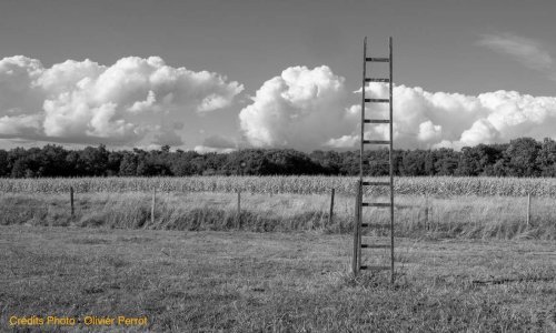 Appel aux Paroles d'hospitalité