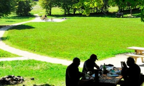 Pétition contre l'installation d'une aire d'accueil des gens du voyage au désert du parc des Vouillants à Seyssinet Pariset