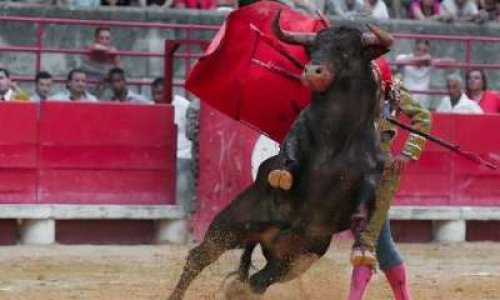 Projet de loi contre la 